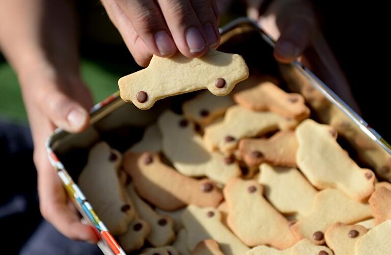 Internationaler Park(ing) Day