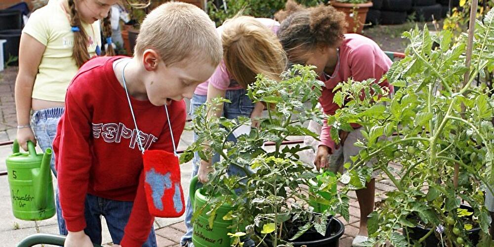 Kinder beim Gärtnern