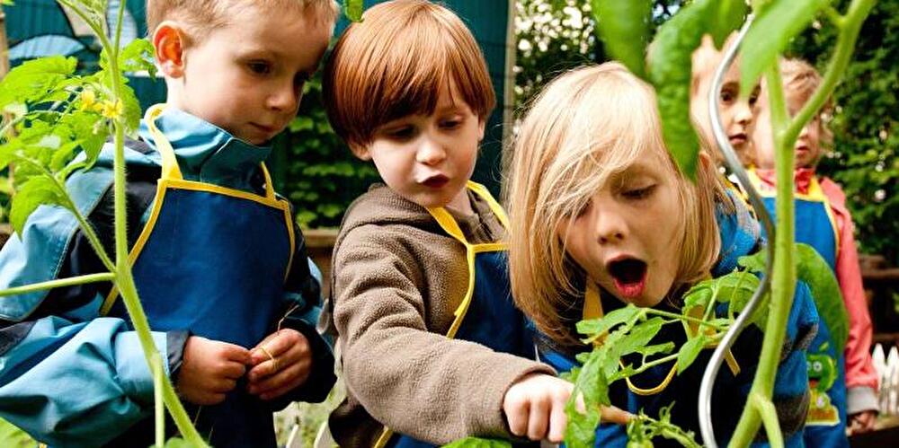 Kinder bestaunen eine Pflanze