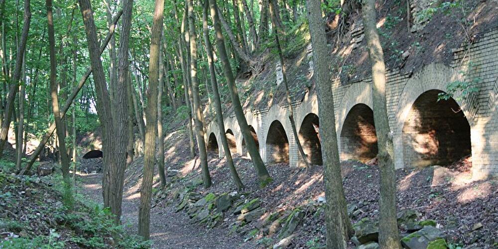 Fort Hahneberg