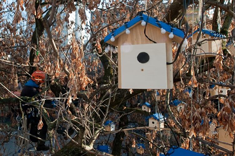 Vogelkästen am Hackeschen Markt