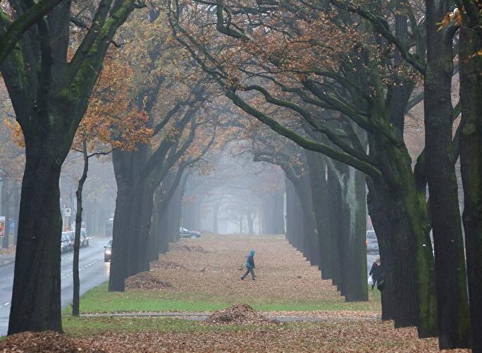 Nebel in Berlin