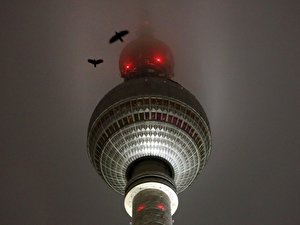 Fog in Berlin
