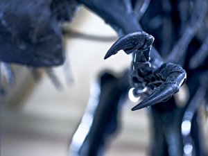 T-Rex «Tristan Otto»