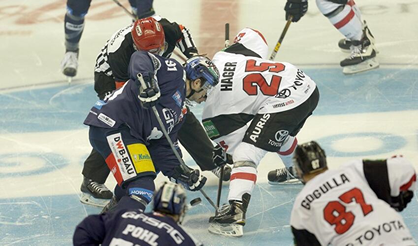 Eisbären verlieren gegen Haie