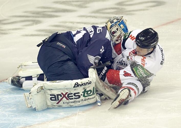 Eisbären verlieren gegen Haie