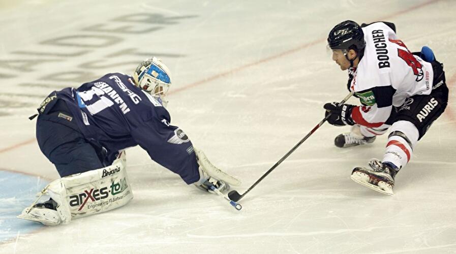 Eisbären verlieren gegen Haie