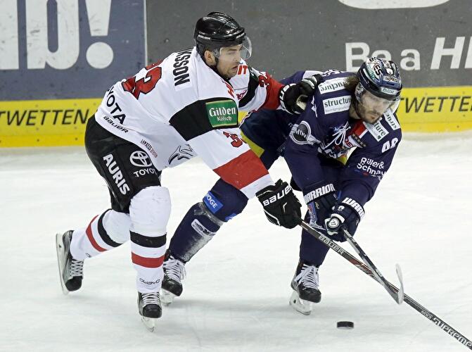 Eisbären verlieren gegen Haie