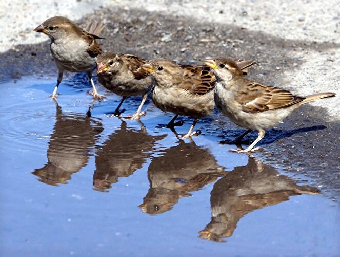 Frühling in Berlin 2016