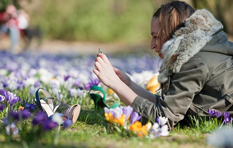 Frühling in Berlin 2016