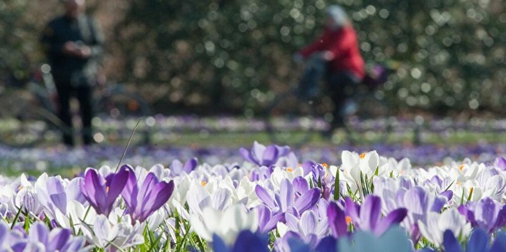 Frühling in Berlin 2016