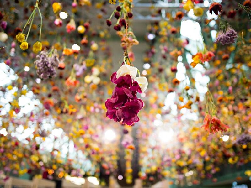 Kunstinstallation mit 30.000 Blumen