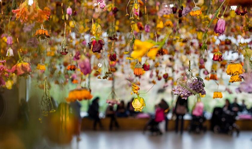Kunstinstallation mit 30.000 Blumen