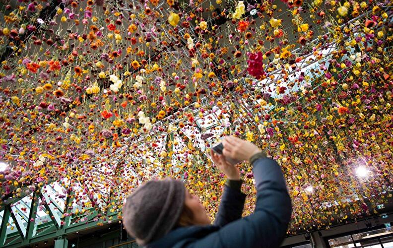 Kunstinstallation mit 30.000 Blumen