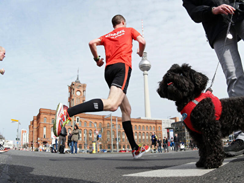 36. Berliner Halbmarathon