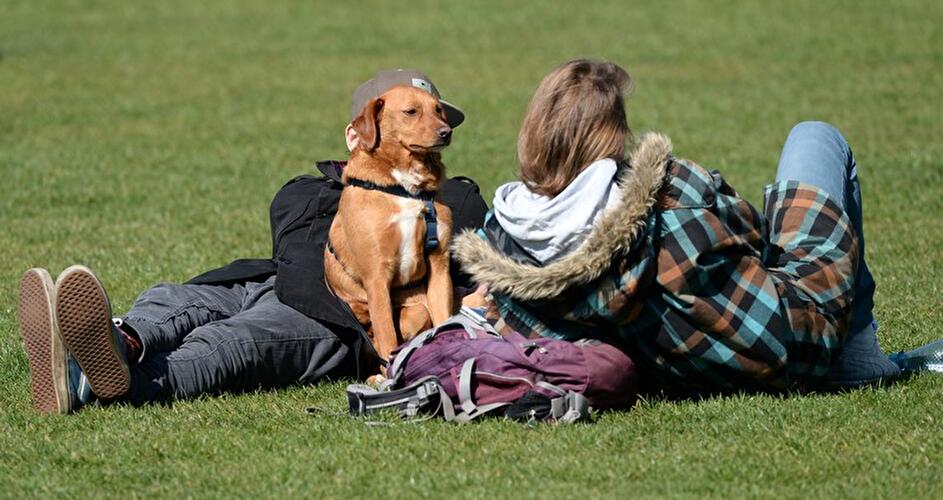 Frühling in Berlin 2016