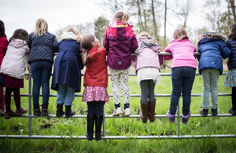 Water buffalo in Tegel River Valley