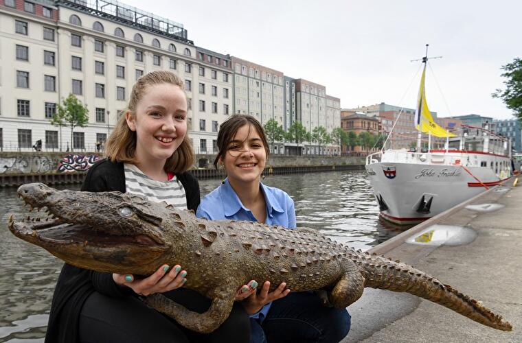 Wunderkammerschiff auf der MS John Franklin