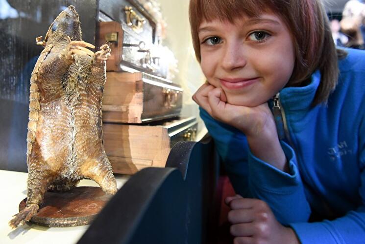 Wunderkammerschiff auf der MS John Franklin