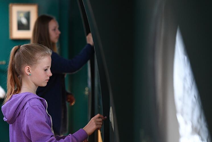 Wunderkammerschiff auf der MS John Franklin