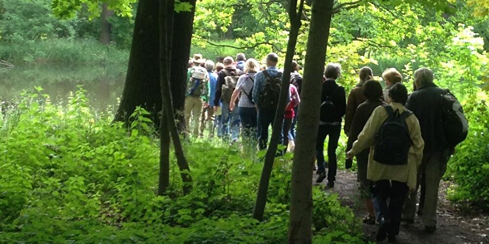 Waldwanderung