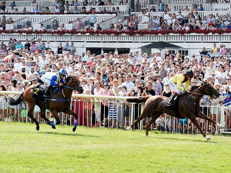 Sprint-Cup im Hoppegarten