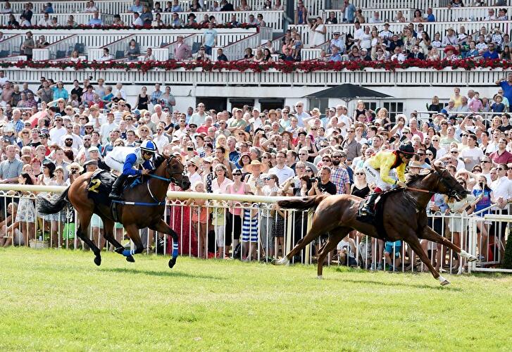 Sprint-Cup im Hoppegarten