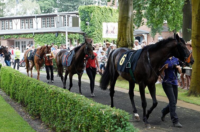 Sprint-Cup im Hoppegarten