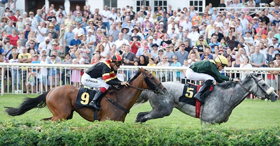 Sprint-Cup im Hoppegarten