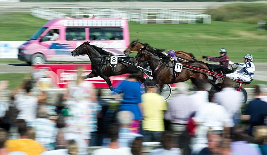 121. Deutsches Traber-Derby