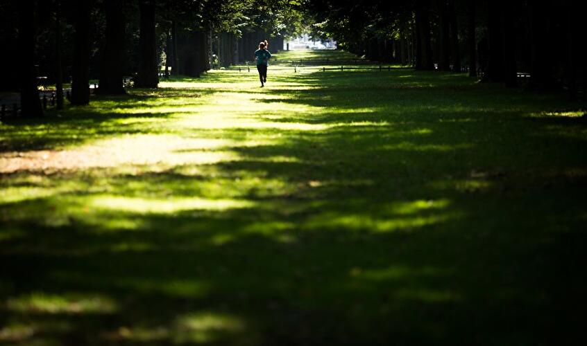 Sommer in Berlin 2016