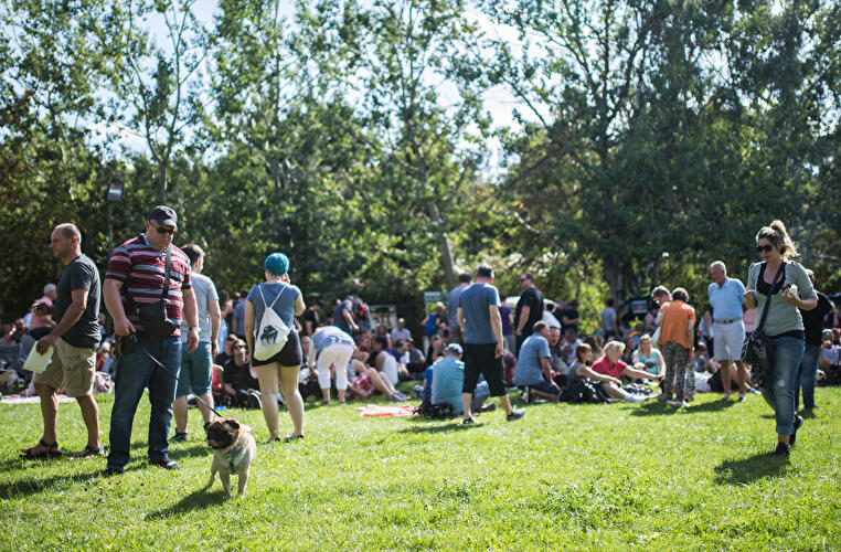 Internationales Mopstreffen 2016