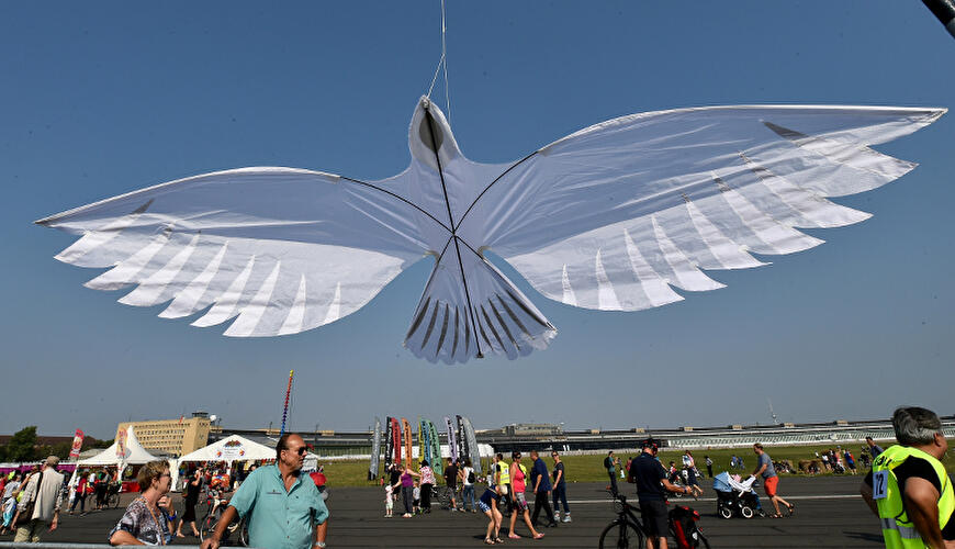 Festival der Riesendrachen