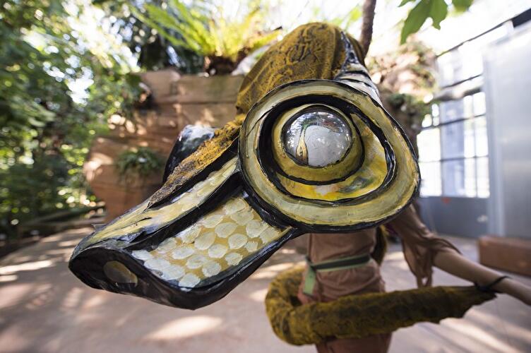 Das Dschungelbuch im Botanischen Garten