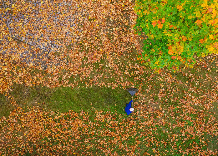 Herbstliches Berlin
