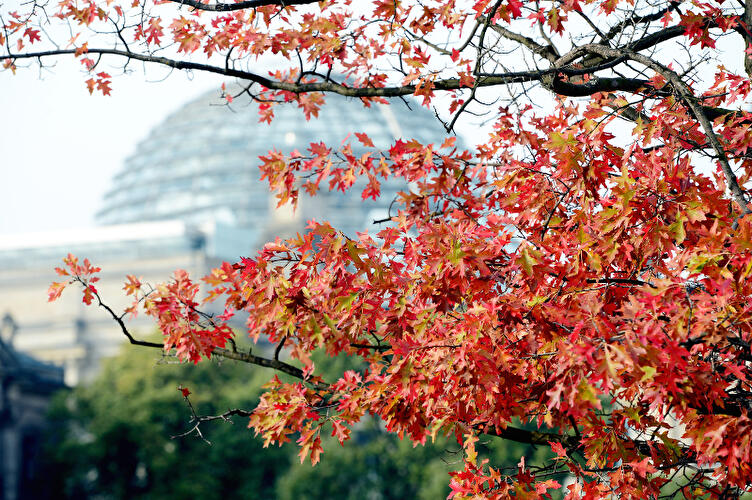 Herbstliches Berlin