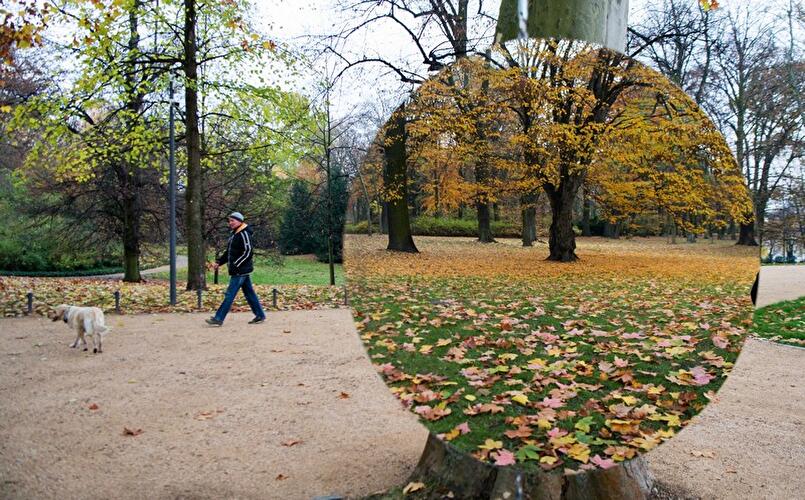 Herbst in Berlin 2016