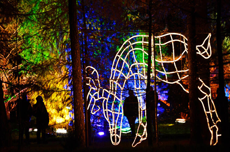 Christmas Garden Berlin
