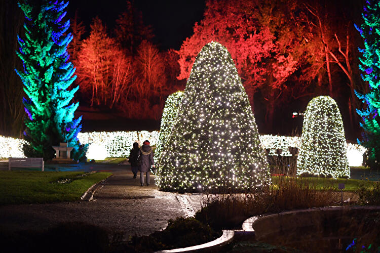Christmas Garden Berlin