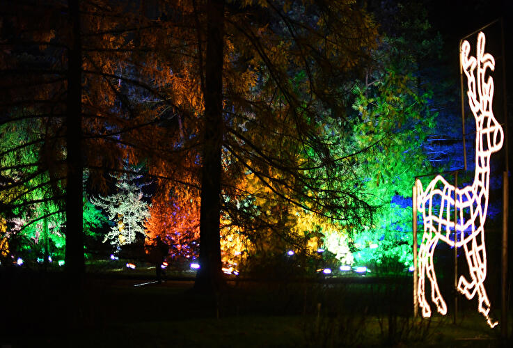 Christmas Garden Berlin