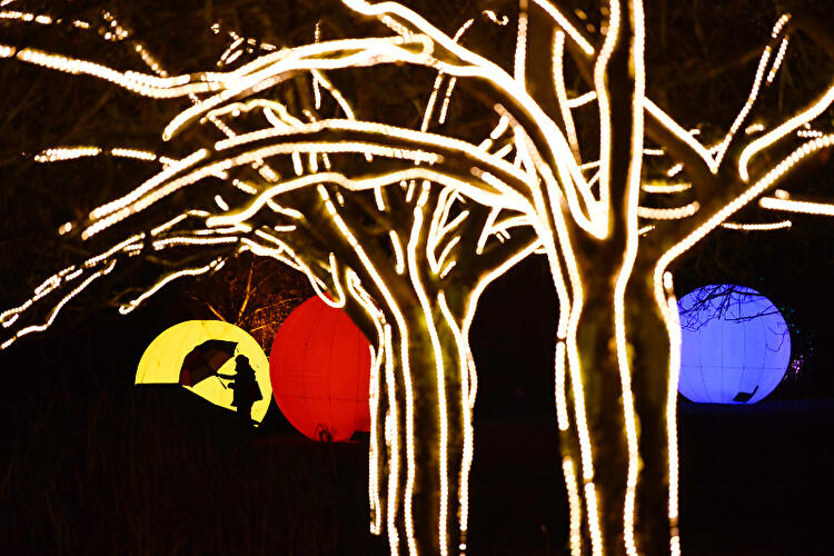 Christmas Garden Berlin