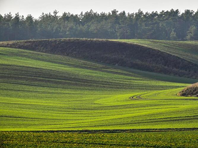 Felder und kleine Hügel in der Uckermark