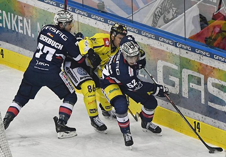 Eisbären Berlin - Krefeld Pinguine