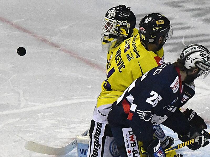 Eisbären Berlin - Krefeld Pinguine