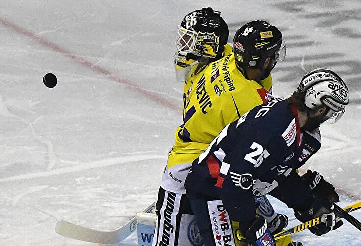 Eisbären Berlin - Krefeld Pinguine
