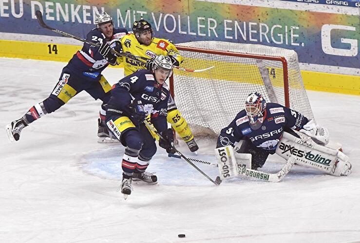 Eisbären Berlin - Krefeld Pinguine