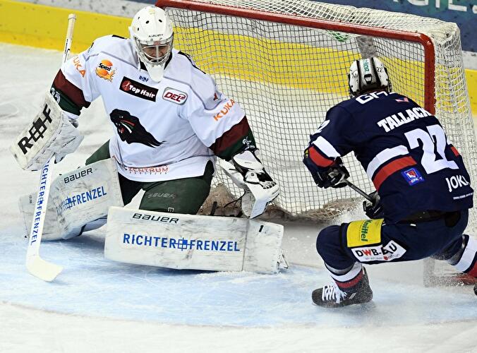 Eisbären Berlin - Augsburger Panther