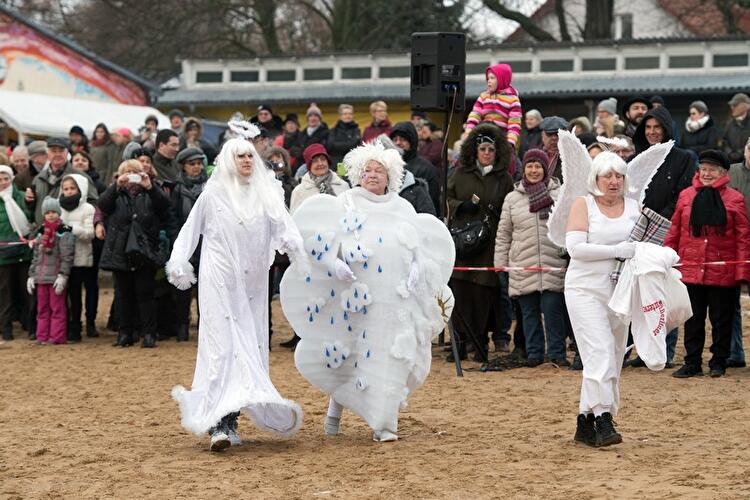Winterschwimmen der Berliner Seehunde