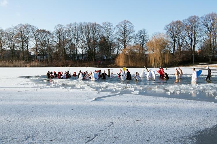 Winterschwimmen der Berliner Seehunde