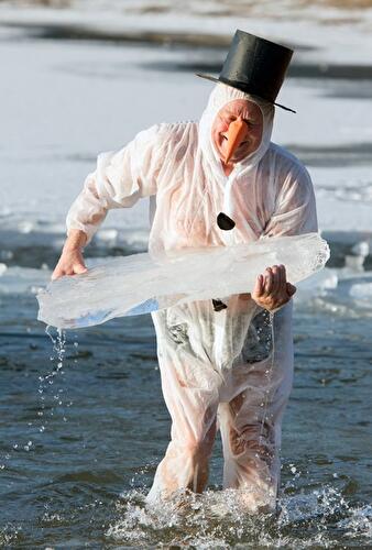 Winterschwimmen der Berliner Seehunde